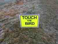 Touch the bird sign